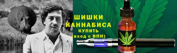 ПСИЛОЦИБИНОВЫЕ ГРИБЫ Бородино