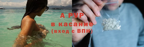 ПСИЛОЦИБИНОВЫЕ ГРИБЫ Бородино