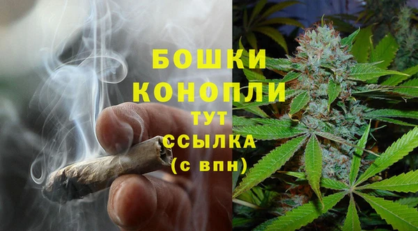 ПСИЛОЦИБИНОВЫЕ ГРИБЫ Бородино