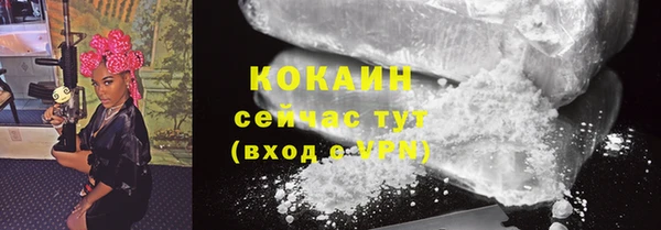 ПСИЛОЦИБИНОВЫЕ ГРИБЫ Бородино