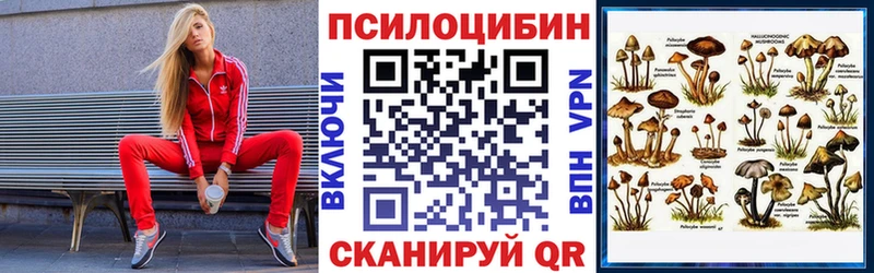 Псилоцибиновые грибы Psilocybe Купить закладки Беслан